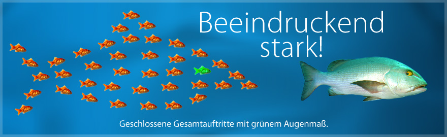 Beeindruckend stark! Geschlossene Gesamtauftritte mit gr&uuml;nem Augenma&szlig;.